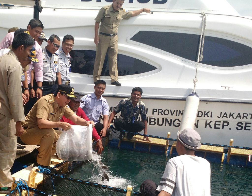 Ahok menebar bibit ikan (Danu Damarjati/detikcom)