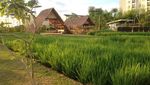 Aneka Foto Taman Paling Instagrammable di Tangerang