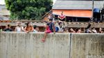 Penggusuran Bukit Duri Jadi Tontonan Warga