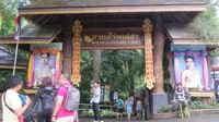 Foto: Ada banyak tempat penangkaran gajah di Thailand. Salah satunya Maesa Elephant Camp, di Chiang Mai (Fitraya/detikTravel)