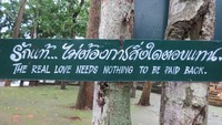 Pohon di sekitar vihara dipasangi kata-kata mutiara. Seperti yang ini, Cinta sejati tidak butuh apa-apa untuk dibalas. Cocok untuk jomblo galau yang mencari ketenangan batin (Fitraya/detikTravel)