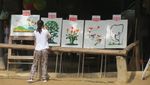 Wow! Gajah di Thailand Bisa Melukis dan Main Bola