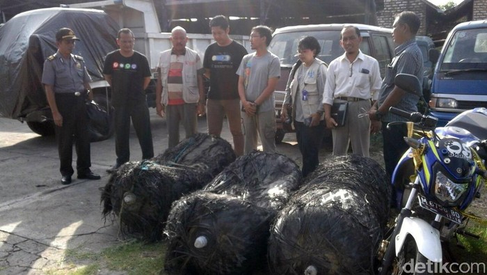 LAPAN: Beberapa Hari ke Depan Akan Ada Lagi Sampah Antariksa yang Jatuh