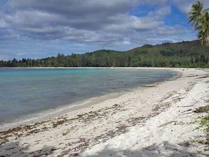 Melihat Kehidupan Eks Tahanan Politik di Pulau Buru Maluku