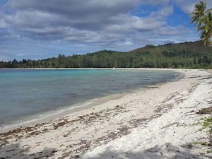 Ada Apa di Pulau Buru, Maluku?