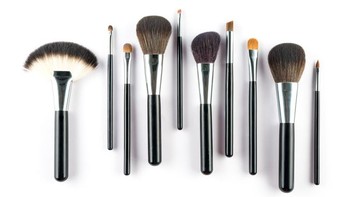 Jawaban pertama: oalah, itu foto brush dari dekat dipotret makro toh, detikers. Foto: Thinkstock