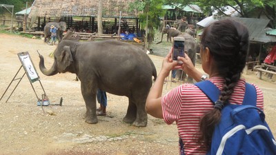 Wow! Gajah di Thailand Bisa Melukis dan Main Bola