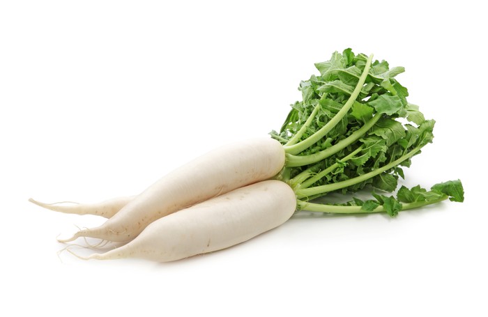daikon Daikon radishes isolated on white background