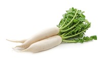 Lobak daikon adalah sayuran akar yang banyak diolah dalam masakan Jepang. Mereka menyukai manfaat sehat daikon yang mampu memproduksi kolagen dan meningkatkan imunitas tubuh. Foto: Thinkstock