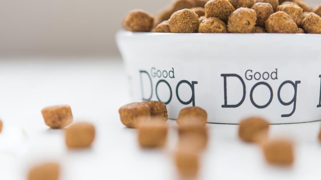 Pencicip Makanan Anjing dan Penulis Fortune Cookies, Pekerjaan Unik di Industri Makanan