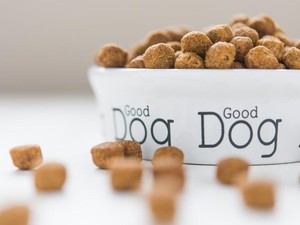 Pencicip Makanan Anjing dan Penulis Fortune Cookies, Pekerjaan Unik di Industri Makanan