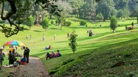 Selain Kebun Raya Bogor, Kebun Raya Cibodas di Puncak juga tak boleh dilewatkan. Mulai dari taman sakura, air terjun, rumah kaca hingga Taman Rhododendron, bisa dijumpai di sini (Eko Pujiansah/dTraveler)