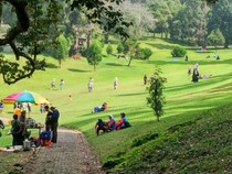 Liburan Adem Tak Melulu ke Lembang, Coba 5 Tempat Ini