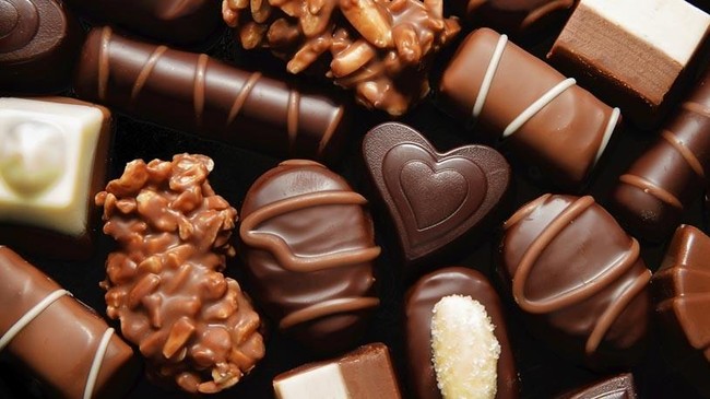Pencicip Makanan Anjing dan Penulis Fortune Cookies, Pekerjaan Unik di Industri Makanan