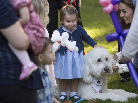 Dipakai Putri Charlotte ke Kanada, Dress Rp 1,2 Juta Ini Terjual Habis