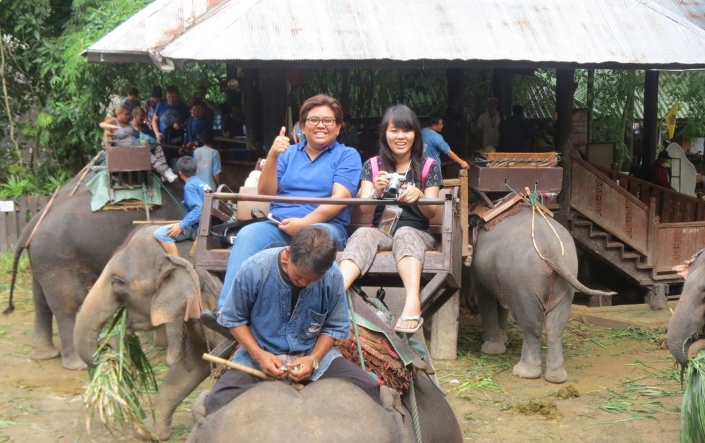 Cerianya wisatawan saat baru naik gajah (Fitraya/detikTravel)