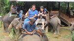 Naik Gajah di Hutan Rimba Thailand, Seru Banget!