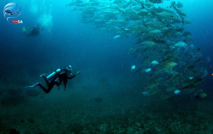 Yuk, Dukung Indonesia Menjadi Top Dive Destination 2017!