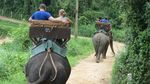 Naik Gajah di Hutan Rimba Thailand, Seru Banget!