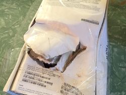 Jejak Hangus iPhone 7