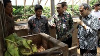 Dirjen Pembangunan Kawasan Perdesaan Johozua M. Yoltuwu (dua dari kanan) meninjau proses fermentasi biji kakao.
