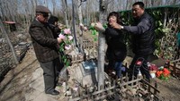 Ada pula yang menghiasi makam hewan peliharaannya dengan untaian bunga yang diikatkan ke pohon di sekitar makam. Kebanyakan hewan ini memang sudah menemani tuannya, sedari mereka masih kecil hingga dewasa (Jason Lee/Reuters)