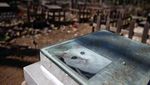 Tradisi Unik Ziarah Makam Hewan Peliharaan di China