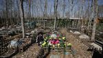 Tradisi Unik Ziarah Makam Hewan Peliharaan di China