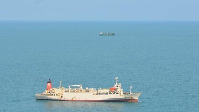 Ekspor Sapi Australia ke Indonesia Dibayangi Ketidakpastian