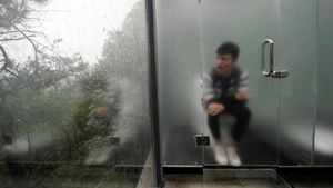 Penampakan Toilet Transparan Tengah Hutan di China