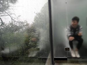 Penampakan Toilet Transparan Tengah Hutan di China
