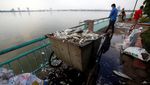 Danau Tercemar, Ribuan Ikan Mati