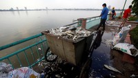 Para pekerja memindahkan ikan-ikan tersebut dari danau.  REUTERS/Kham.