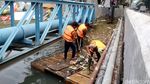 Melihat Pasukan Oranye Membersihkan Sungai