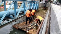 Di titik itu, ada sekitar 6 anggota Pekerja Prasarana dan Sarana Umum (PPSU) alias pasukan oranye itu hilir mudik mengail sampah di Sungai Ciliwung.
