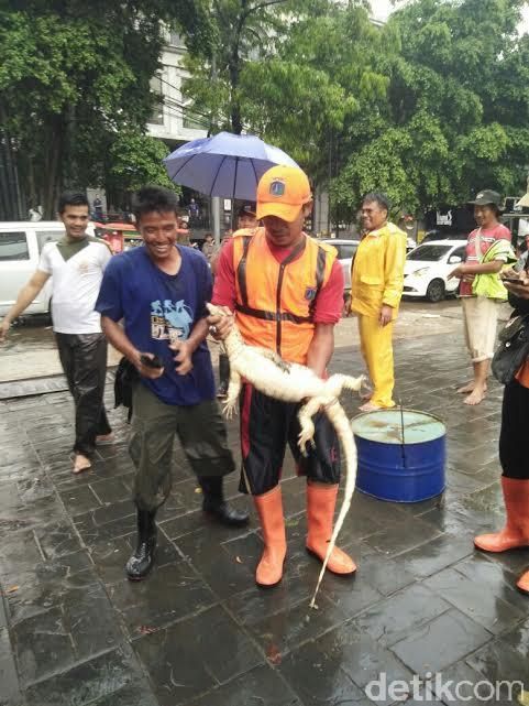 Foto: Camat Mampang Asril Rizal