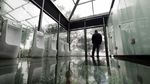 Penampakan Toilet Transparan Tengah Hutan di China