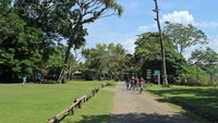 Liburan ke Pangandaran tidak melulu soal pantai. Di sana juga ada Cagar Alam yang hijau dan asyik untuk rekreasi bareng teman atau keluarga (Randy/detikTravel)