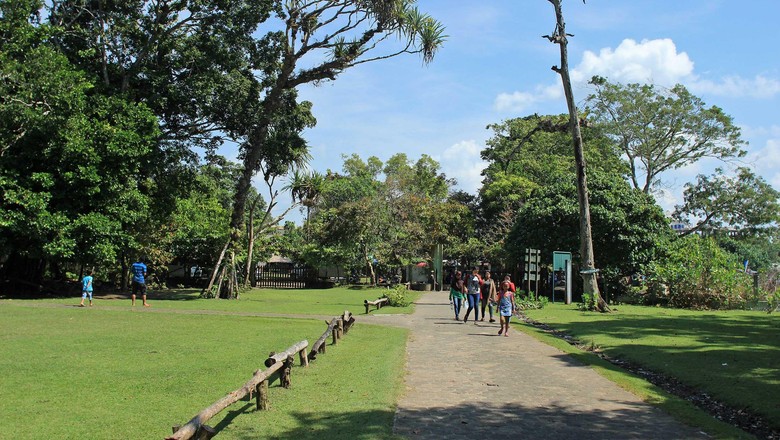 Bukan Cuma Pantai Pangandaran Juga Punya Cagar Alam Hijau