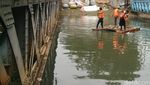 Melihat Pasukan Oranye Membersihkan Sungai