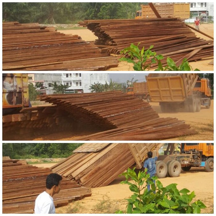 Pembalakan Liar di Cagar Biosfer di Siak Kecil Riau, 70 Kubik Kayu Diamankan