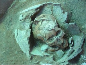 DNA Buktikan Nenek Moyang Orang Pasifik dari Asia