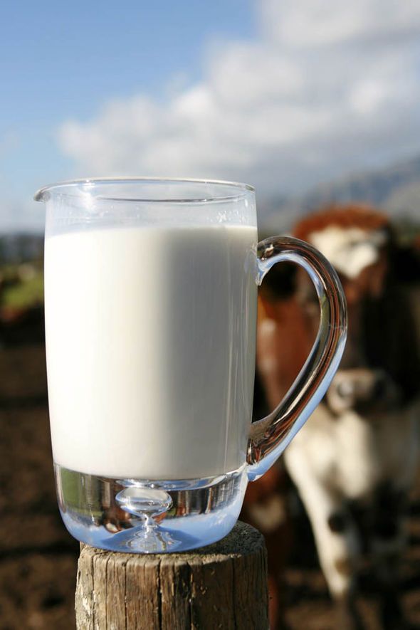 Susu Rusa Kutub dan Susu Kuda, Alternatif Pengganti Susu Sapi di Masa Depan