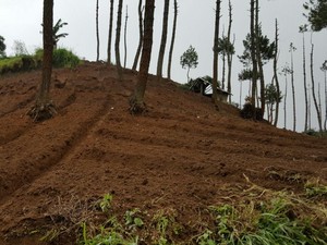Alih Fungsi Lahan di Garut, Polda akan Panggil Kabiro Keuangan Pemprov Jabar
