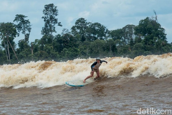 Masih di daratan Sumatera, Sungai Kampar di Riau membuktikan kalau surfing tak hanya bisa di laut. Sungai ini punya ombak yang setinggi 6 meter dengan kecepatan 40 km per jam. Surfing di sana tak main-main, hanya untuk mereka yang sudah ahlinya (Dok Kemenpar) Masih di daratan Sumatera, Sungai Kampar di Riau membuktikan kalau surfing tak hanya bisa di laut. Sungai ini punya ombak yang setinggi 6 meter dengan kecepatan 40 km per jam. Surfing di sana tak main-main, hanya untuk mereka yang sudah ahlinya (Dok Kemenpar)