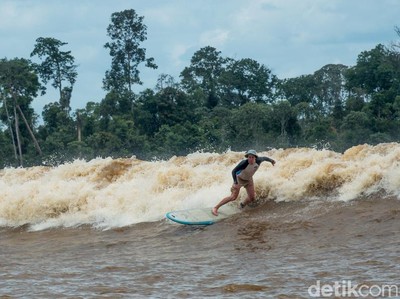 Surfing di Sungai, Indonesia Punya!