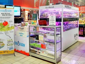 Peralatan Bertanam Hidroponik Kini Hadir di Carrefour Lebak Bulus