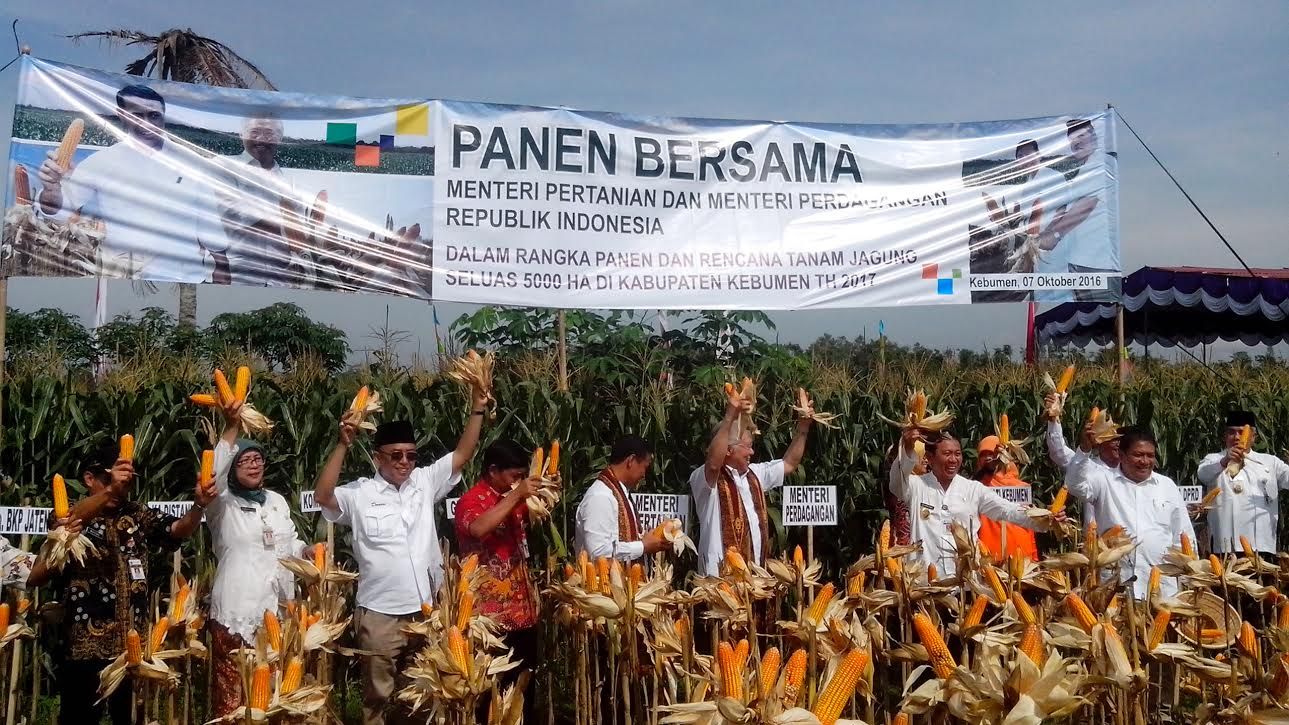 Duet Mentan dan Mendag Panen Jagung dan Beri Traktor di Kebumen