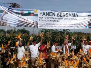 Cerita Mentan Soal RI Setop Impor Bahan Pangan dari Negara Tetangga