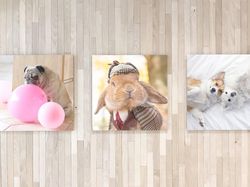 Mengintip Markas Baru Instagram yang Instagramable